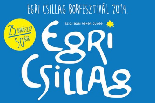 Egri Csillag Borfesztivál 2014  - Egri Csillag Borfesztivál