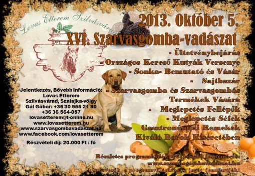   - Szarvasgomba-vadászat