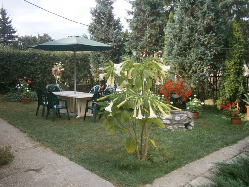   - Orgona Vendégház Szilvásvárad