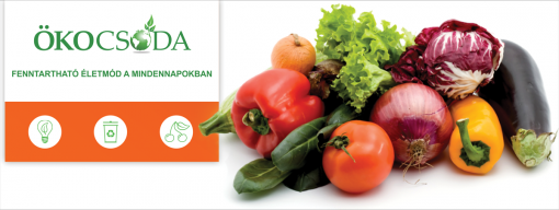 Ökocsoda Fenntartható Életmód a Mindennapokban 2013  - Ökocsoda Egerben